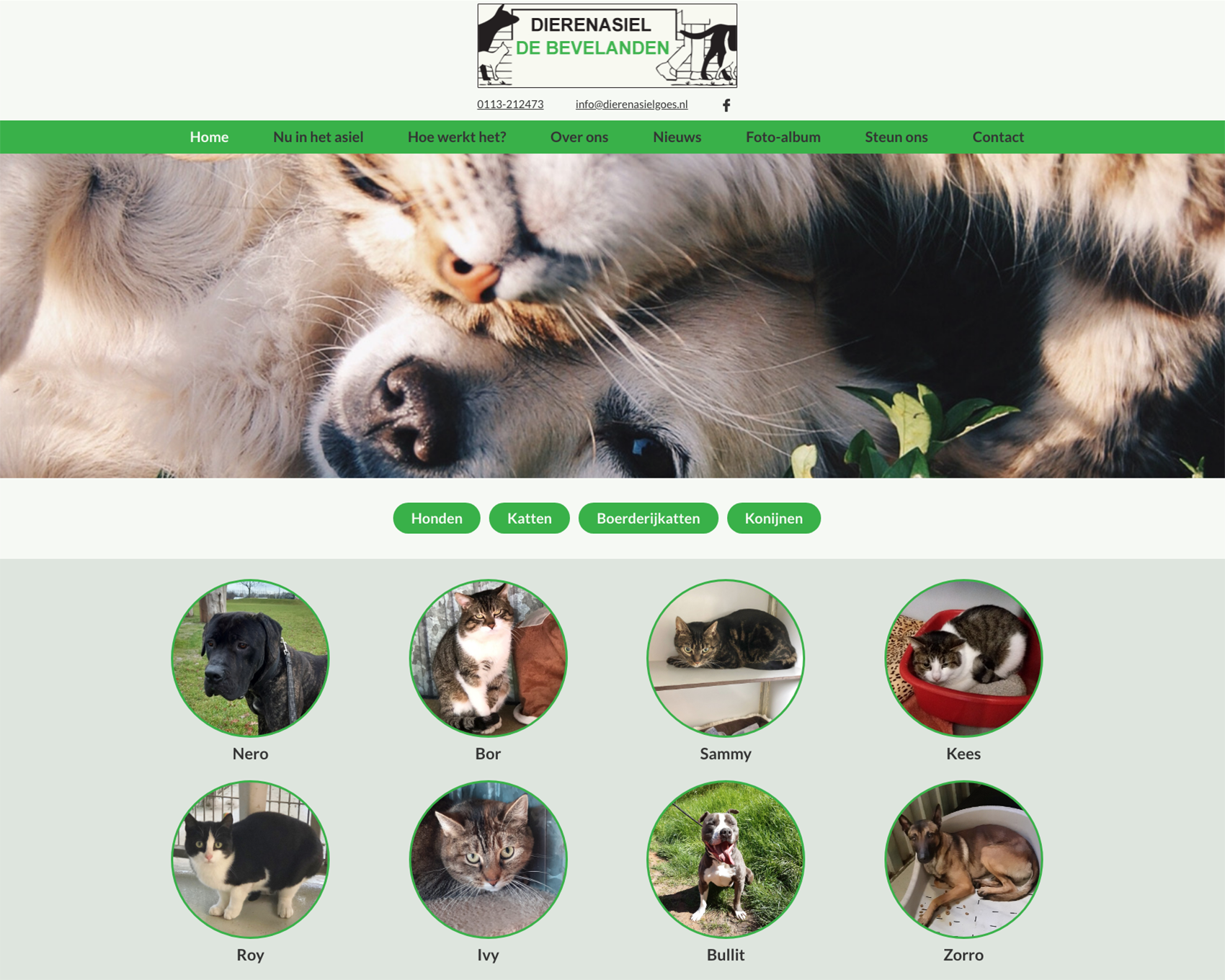 Homepagina website Dierenasiel Goes